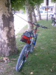 Pulsa para verlas grandes
