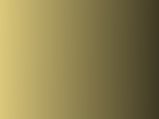 img417.jpeg.small.jpeg