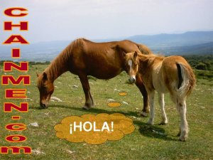 Pulsa para ir al tema